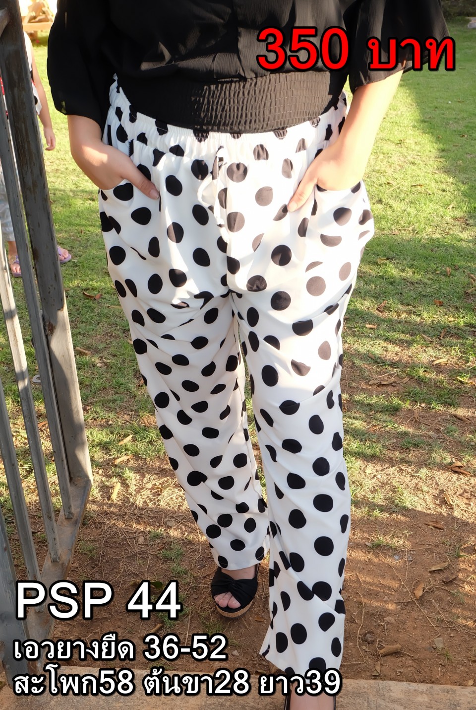 DSCF1104